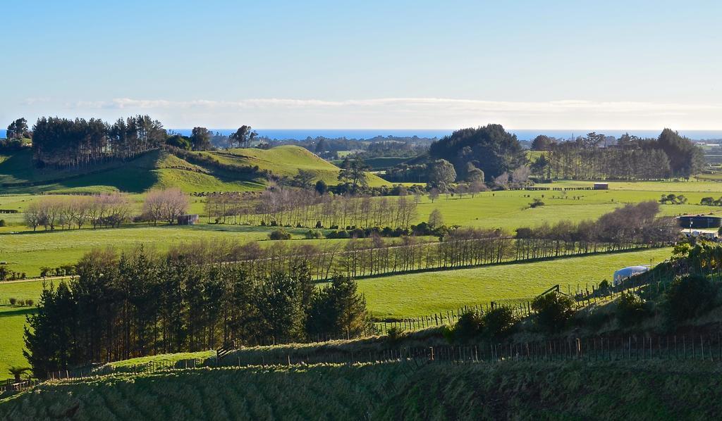 A Touch Of Tuscany At Hillsborough New Plymouth Eksteriør billede