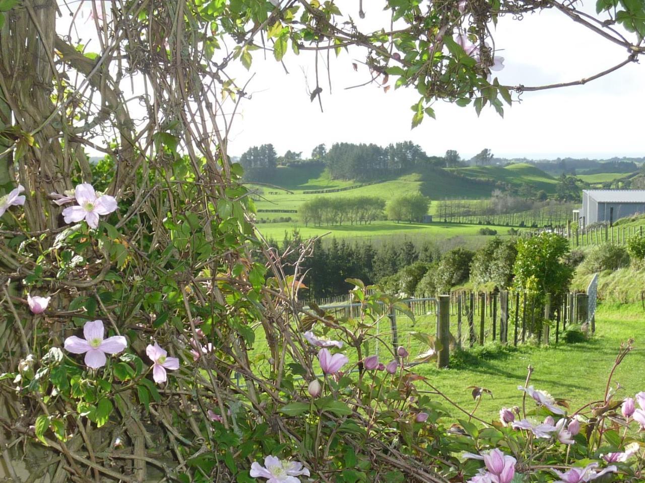 A Touch Of Tuscany At Hillsborough New Plymouth Eksteriør billede